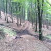 IMG-20220908-WA0016